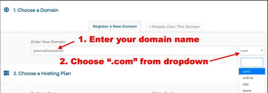 Guide to choosing domain name