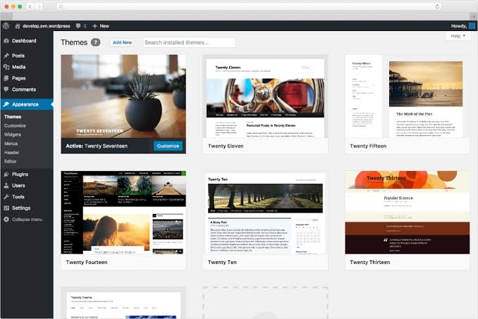 How to choose WordPress themes