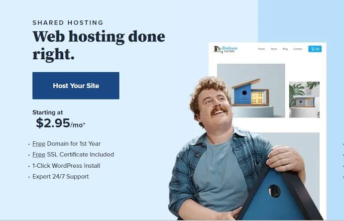 Bluehost cheaper plan